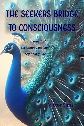 Book cover, Seekers Bridge to Consciousness